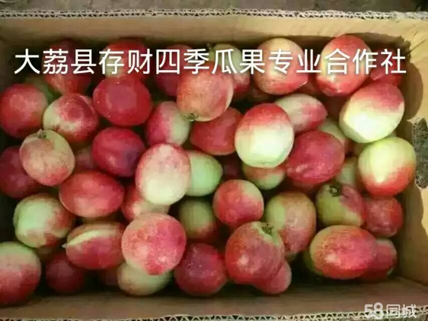 陕西中油5油桃价格/陕西大荔优质油桃基地价格行情&nbsp;&nbsp;陕西油桃价格&nbsp;&nbsp;大荔油桃基地&nbsp;&nbsp;油桃行情走势