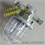 60W白炽灯 DGS60/127B防爆白炽灯