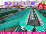 哪家的火龙果选果机质量好？火龙果选果机哪里有卖的？