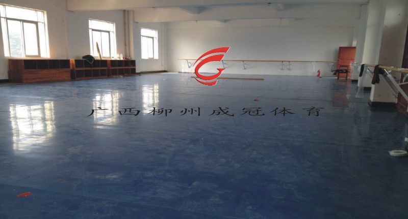 柳州市舞蹈PVC地板价格,柳州地胶厂家舞蹈房专用地胶,把杆  儿童PVC地垫  儿童拼图地垫