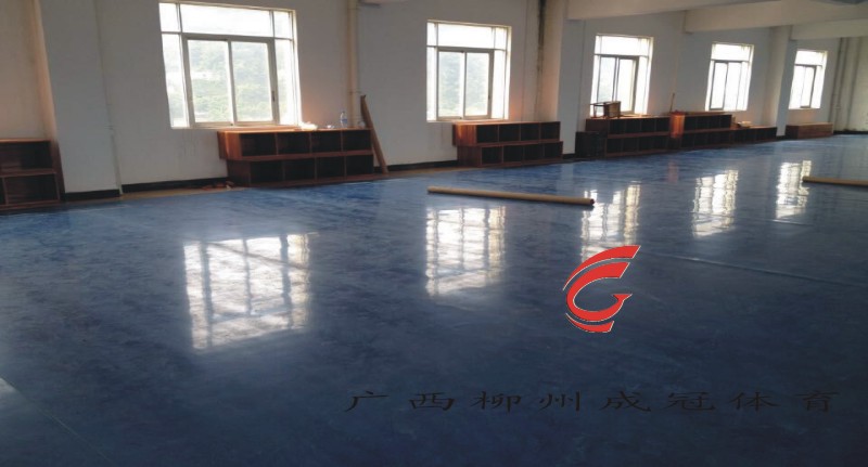 柳州市舞蹈PVC地板价格,柳州地胶厂家舞蹈房专用地胶,把杆  儿童PVC地垫  儿童拼图地垫