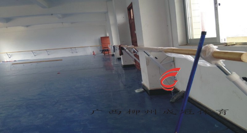 柳州市舞蹈PVC地板价格,柳州地胶厂家舞蹈房专用地胶,把杆  儿童PVC地垫  儿童拼图地垫