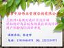 青岛培训UI开发用户体验与UI设计