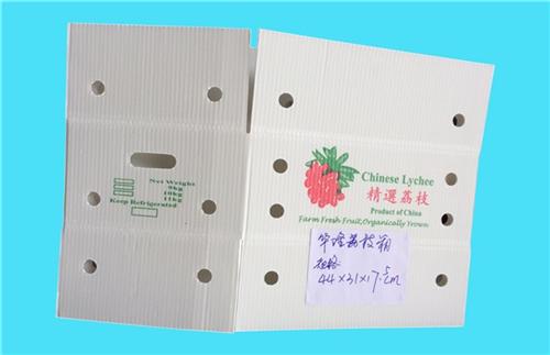 飛燕塑膠制品|鈣塑蔬菜箱|海南鈣塑蔬菜箱哪家好