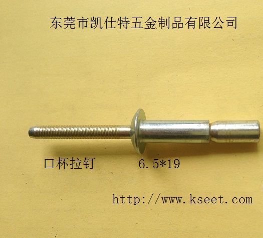 生产厂直供锁芯结构拉丝钉|口杯拉钉质量上乘价格合理  锁芯结构拉丝铆钉