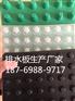 厦门塑料排水板生产厂家欢迎您