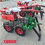 大蒜收获机厂家直销大蒜机设备 两行汽油机带动大蒜收获机