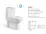 厂家推荐全自动马桶：优质的双孔超漩式座便器推荐，您的不二选择