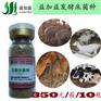 发酵床养殖的技术方法制作发酵床养鸭子养鹅
