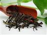 价位合理的八仙单丛茶供应，就在慧通鲜米店，中国单丛茶