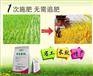 绿涛水稻专用肥料，一次施肥在，直至收割，增产节本的好肥料