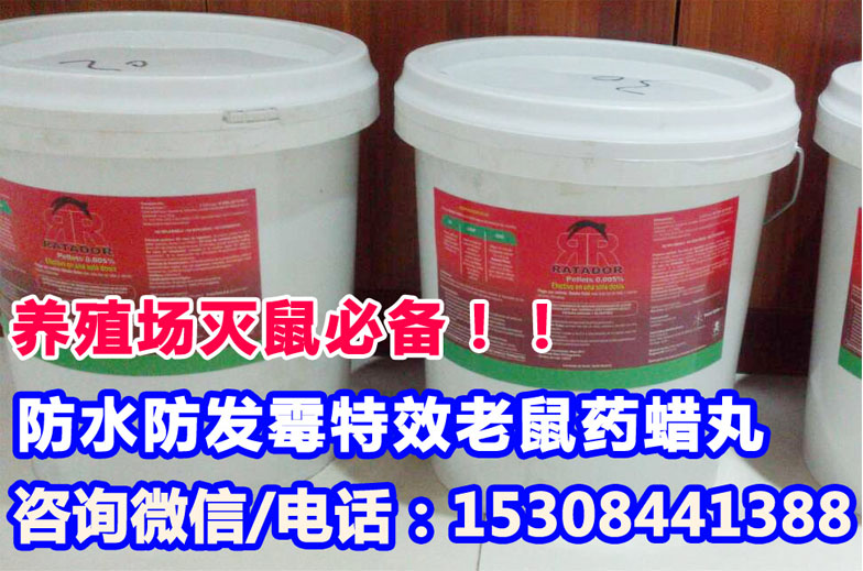 卖老鼠药杀老鼠药,新型老鼠药慢性老鼠药