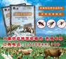 舍无影高效氯氟氰菊酯养殖猪场养牛场灭虫蚊子除苍蝇杀跳蚤药