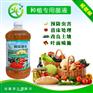 甜瓜种植em菌营养液防病促长液