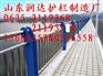 阳江不锈钢隔离护栏/不锈钢碳素钢复合管护栏