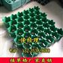 铁岭植草格厂家