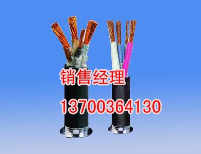 NHKVV22耐火电缆厂家，供应NHKVVP22电缆