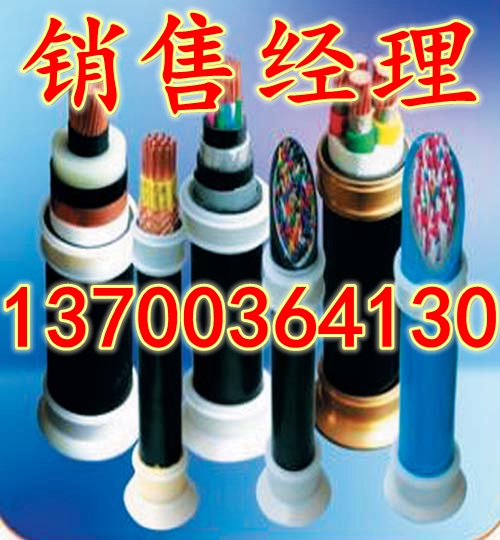 销售WDZKVV22电缆，生产低烟无卤控制电缆