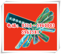 生产传输语音信号电缆SBYV,全色谱交换机电缆SBYVP