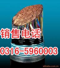吉林矿用平巷阻燃电话电缆价格，吉林平巷阻燃电话电缆厂家  吉林矿用阻燃电话电缆  吉林阻燃电话电缆