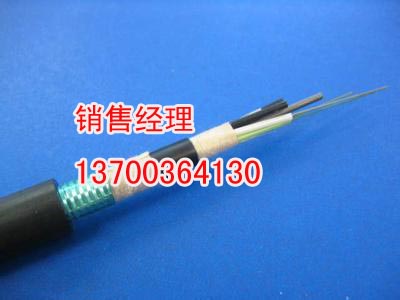 吉林屏蔽通信电缆销售，吉林HYAP 50对100对  吉林通信屏蔽电缆