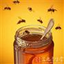 武汉进口新西兰蜂蜜需要什么条件
