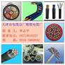 JHS-2*25防水护套电缆JHS-2*50现货防水软电缆型