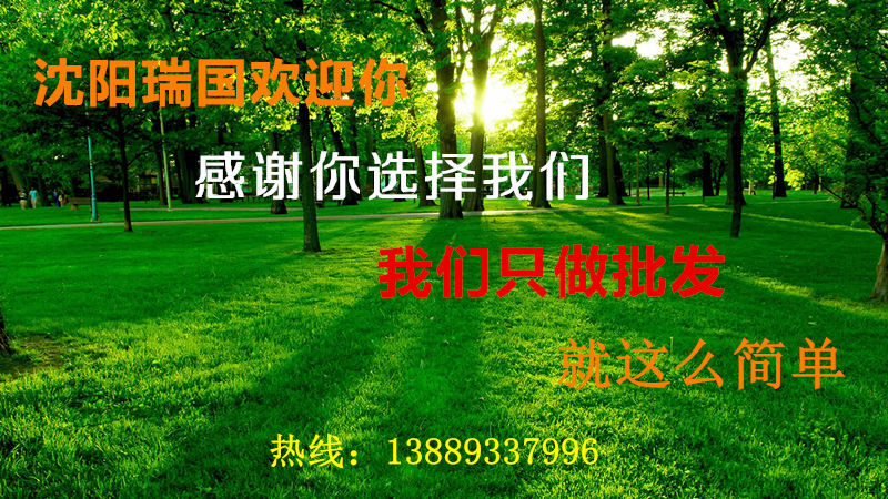 沈阳市皇姑区瑞国建材经销处