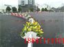 花箱道路护栏/钢制道路护栏/小区道路护栏/公路隔离栏杆