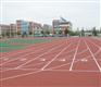 山东塑胶跑道设计施工