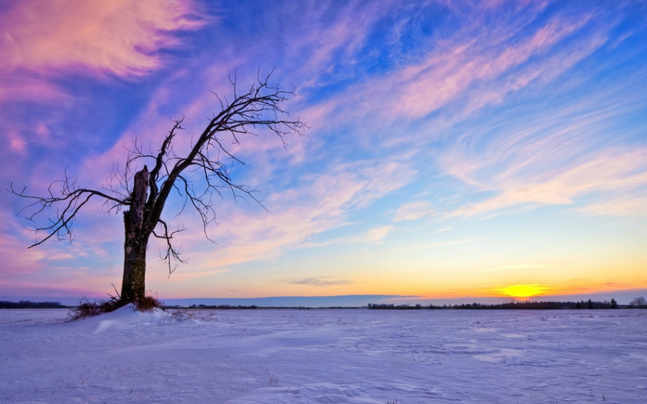 许昌市..道路保洁投标书..大纲