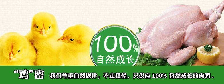 深圳市成得林贸易有限公司