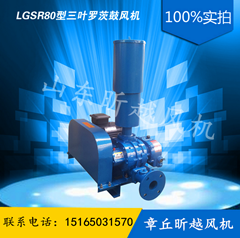 羅茨鼓風機JVR150-37KW污水處理、氣力輸送專用風機