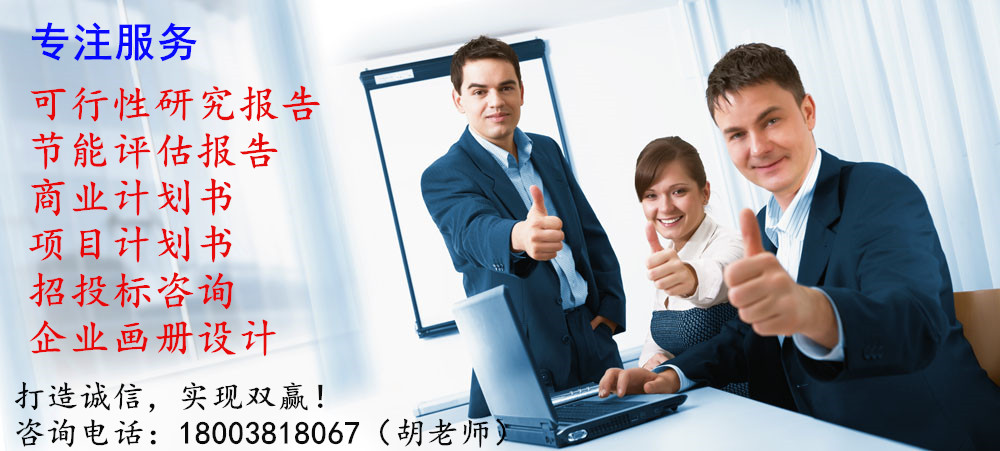 扶沟县写可行性研究报告什么公司做的专业