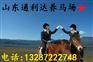 养马场 批发市场 生态园养马场 跑马圈