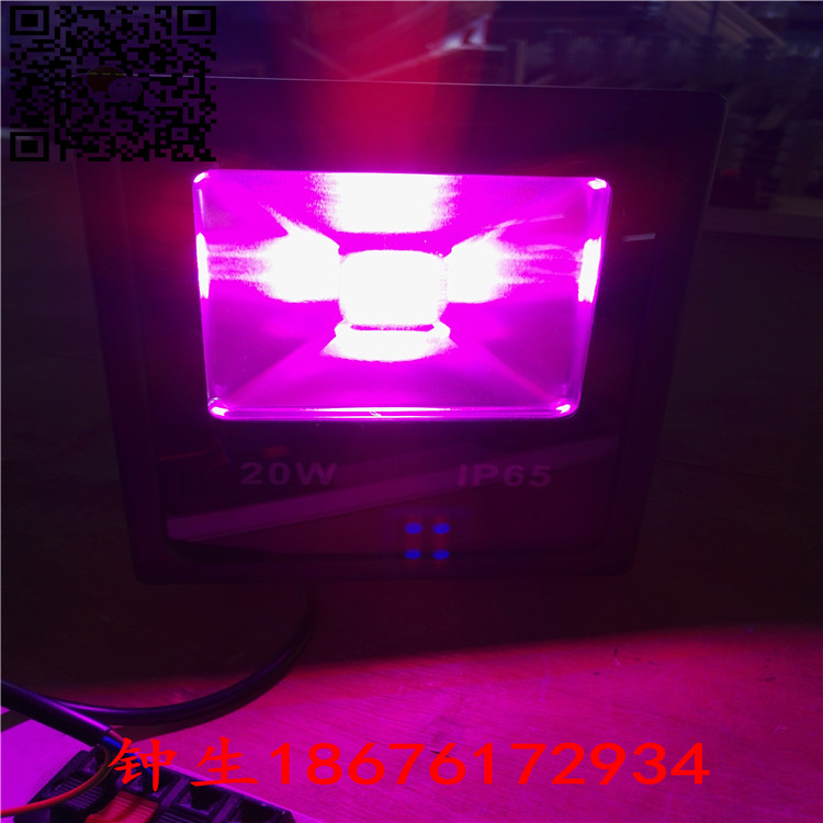 LED植物灯厂家