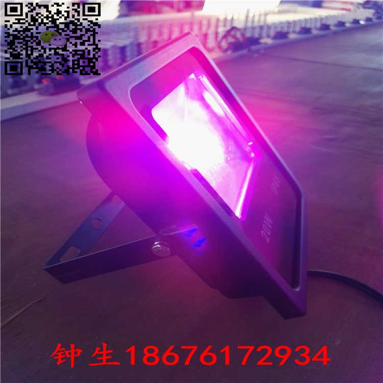 省电LED植物补光灯温室育苗专用植物生长灯低价耐用  LED植物生长灯  LED植物灯