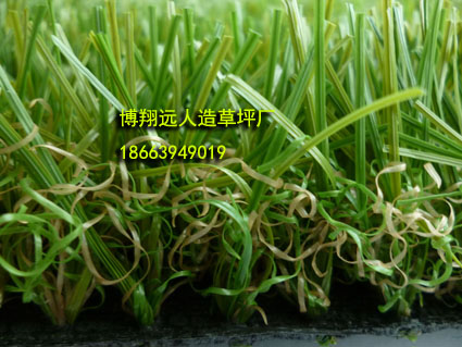 日照生产的人造草坪价格【专业厂家欢迎光临】 人造草坪现货