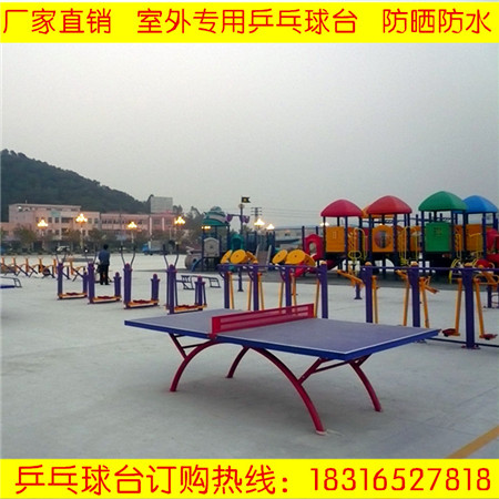 惠州市厂家直销红双喜乒乓球台 专业供应学校训练用乒乓球台  乒乓球桌