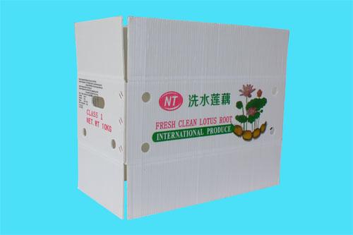 新疆鈣塑蔬菜箱|飛燕塑膠制品|新疆蔬菜箱廠家