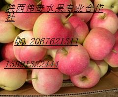 陕西毛桃产地郑三毛桃批发  西瓜  苹果