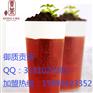 江西十大贡茶品牌，御质贡茶奶茶加盟缔造财富奇迹
