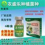 种植红薯的种植em菌种生产厂家
