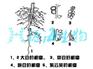 哪里卖微生物菌肥_福建省微生物菌肥_菌肥就是河北源海