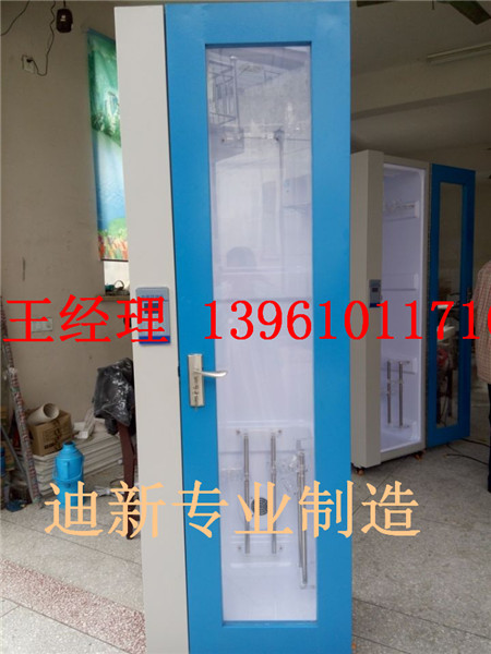 单门内镜储存柜 豪华款双层内窥镜挂镜柜迪新制造  微电脑储存柜