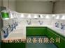 肠镜清洗装置/内镜清洗系统迪新十年品牌