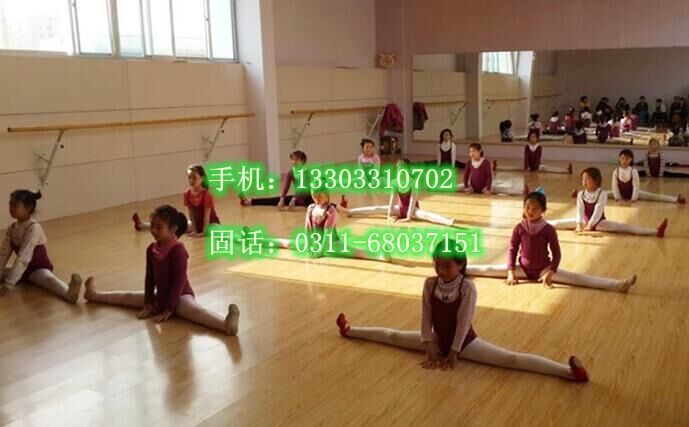 天津幼儿园移动舞蹈把杆批发一根3米压腿杆多少钱  长沙壁挂式把杆  黄石移动式压腿把杆  芭蕾舞舞蹈把杆厂家
