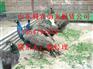 淄博哪里有卖羊驼的