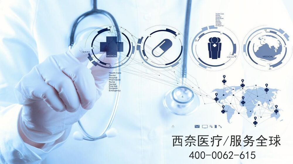 山东省西奈电子设备有限公司
