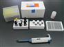 八聚体结合转录因子4(OCT4)Elisa Kit